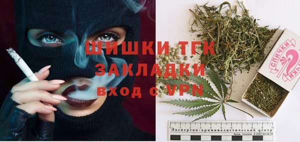 ECSTASY Бородино