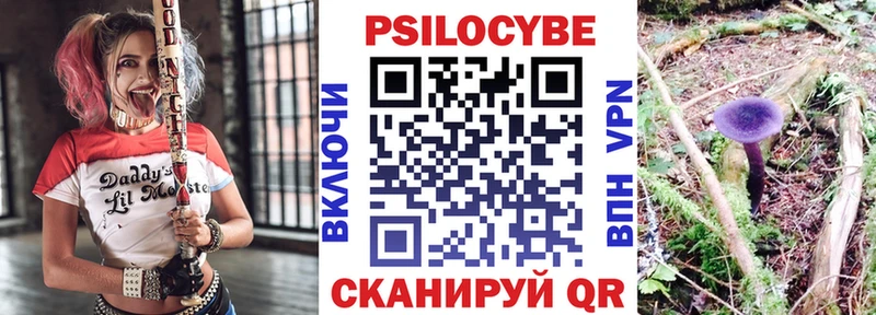 купить наркотики сайты Валдай Псилоцибиновые грибы GOLDEN TEACHER